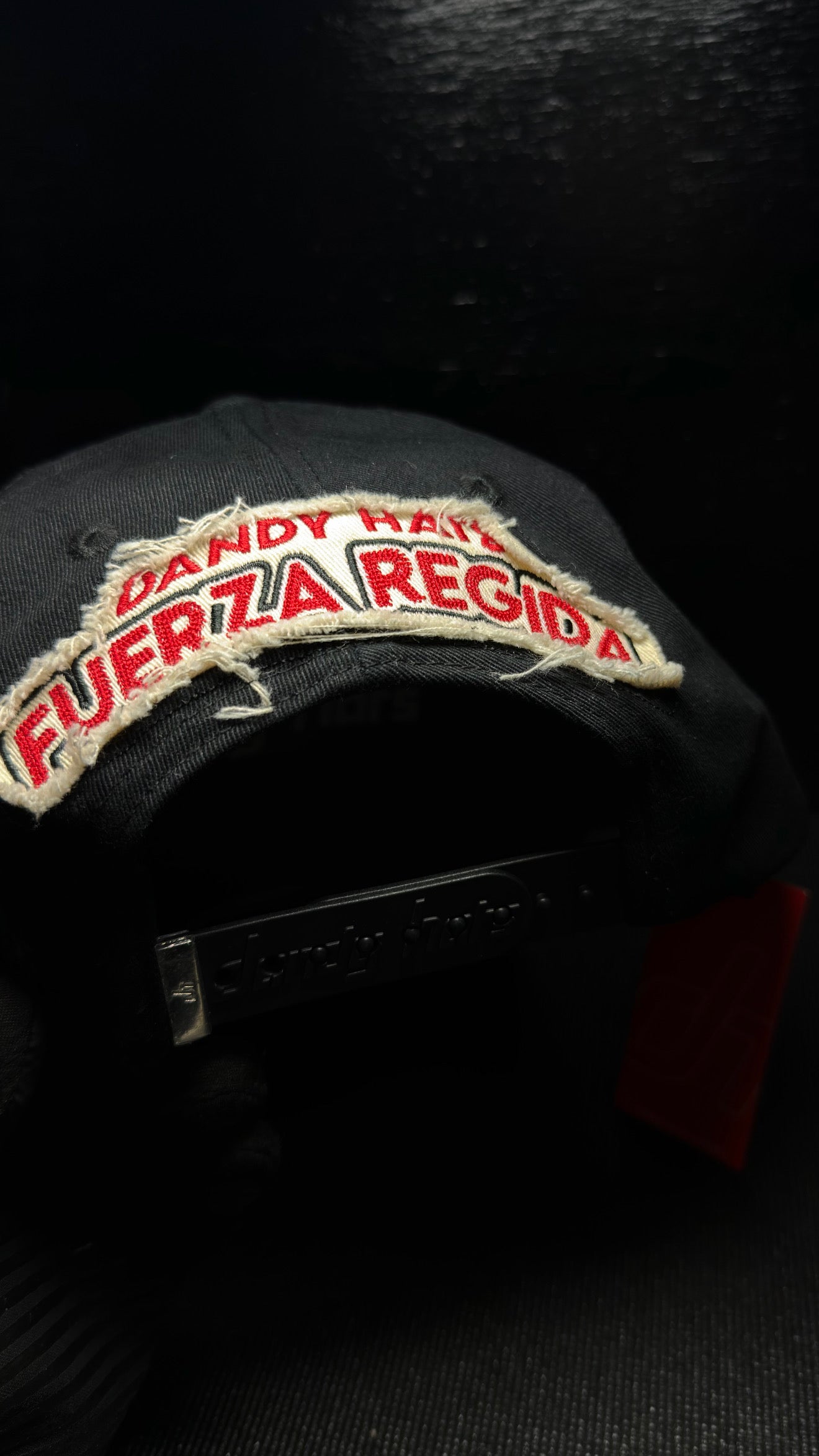 DANDY HATS FUERZA REGIDA gorra