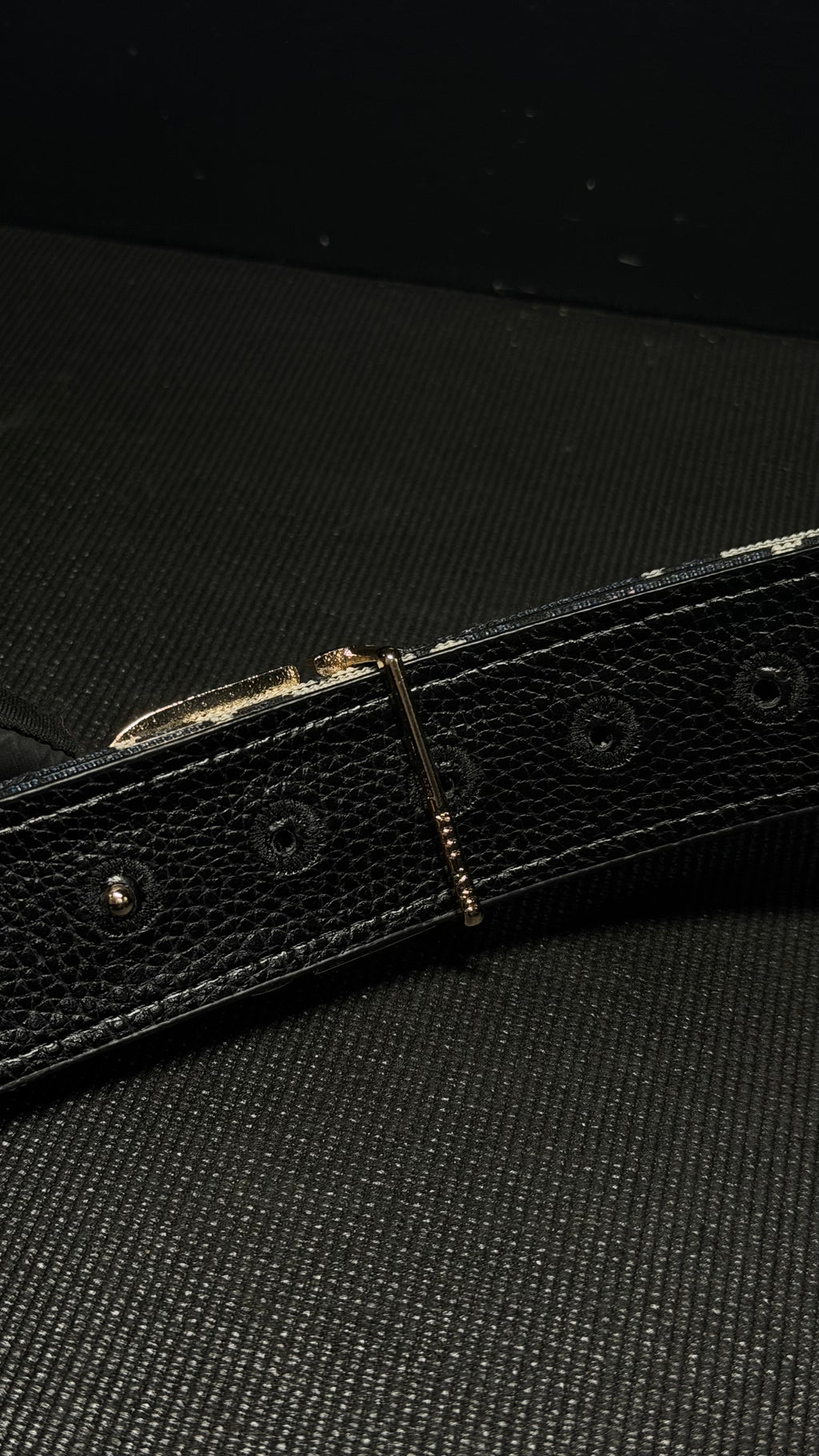 DIOR cincho