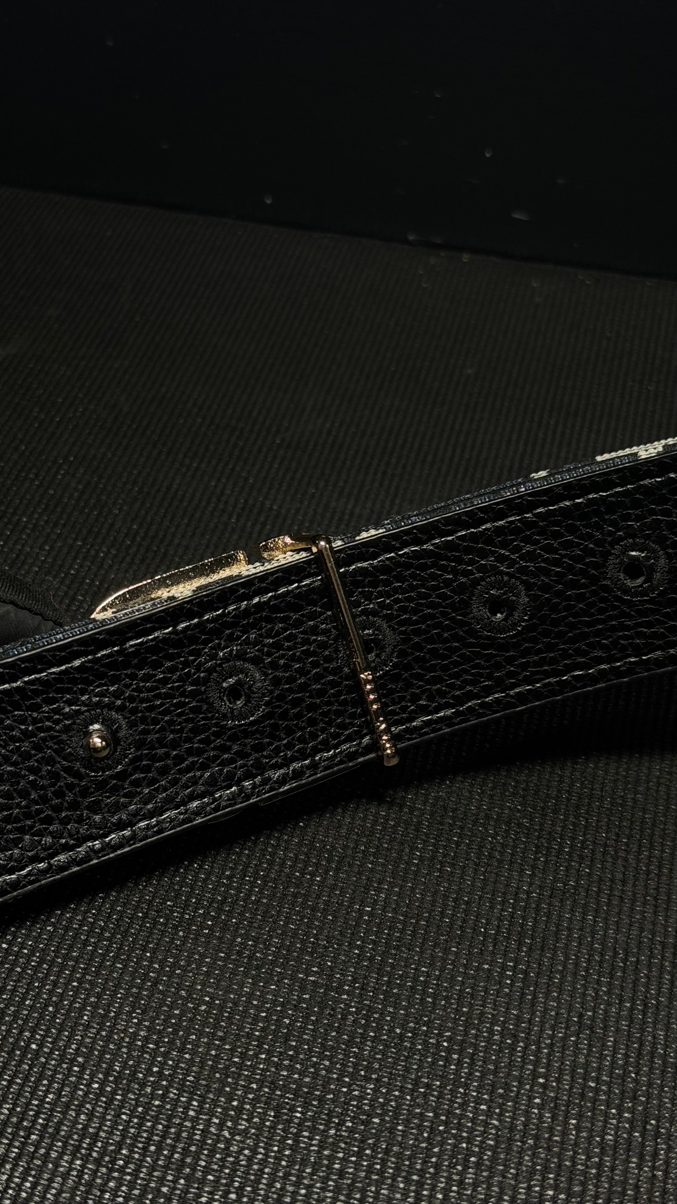 DIOR cincho